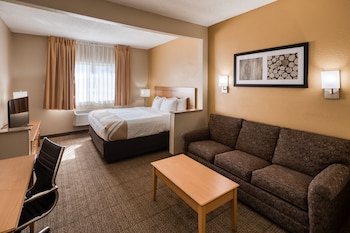 Efficiency, Suite, 1 King Bed with Sofa bed