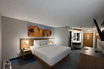 Room, 1 King Bed, Non Smoking
