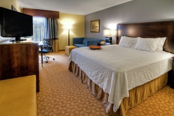 Room, 1 King Bed with Sofa bed, Non Smoking (Study)