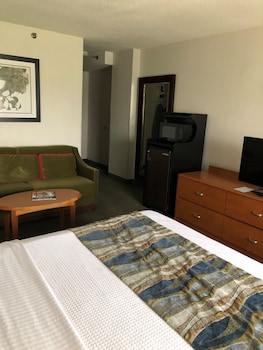 Suite, 1 King Bed with Sofa bed, Non Smoking (Mini)