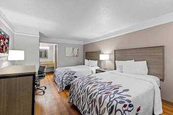 Suite, 2 Double Beds, Non Smoking, Kitchen