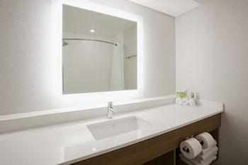 Suite, 1 King Bed, Accessible (Roll-In Shower)