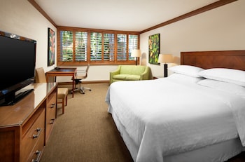 Room, 1 King Bed (Mobility/Hearing Access, Roll-In Shwr)