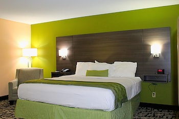 Room, 1 King Bed, Accessible, Non Smoking