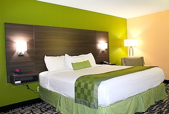 Room, 1 King Bed, Accessible, Non Smoking