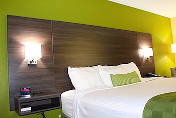 Room, 1 King Bed, Accessible, Non Smoking