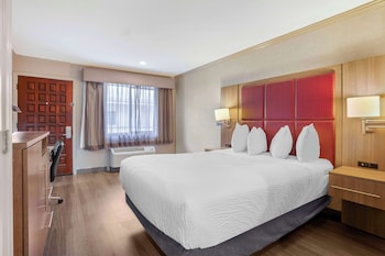 Standard Room, 1 Queen Bed, Non Smoking, Refrigerator & Microwave