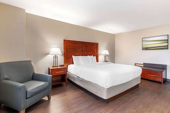 Suite, 1 King Bed with Sofa bed, Accessible, Non Smoking