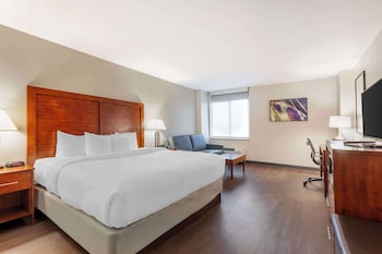 Standard Room, 1 King Bed, Non Smoking