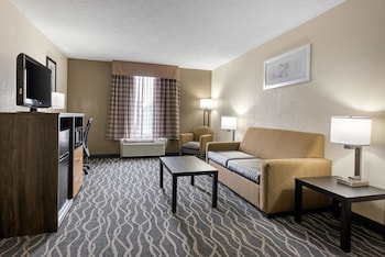 Suite, 1 King Bed with Sofa bed, Non Smoking