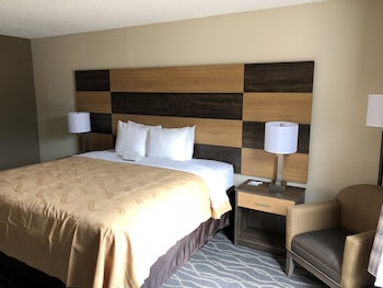 Standard Room, 1 King Bed, Non Smoking