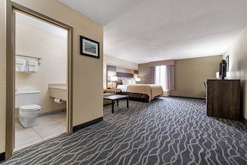 Suite, King Bed, 1 person Sofa Bed