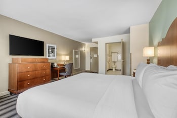 Standard Room, 1 King Bed, Accessible, Bathtub