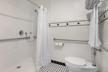 Deluxe Suite, 1 King Bed, Accessible, Non Smoking (Walk-in Shower;with Sofabed)