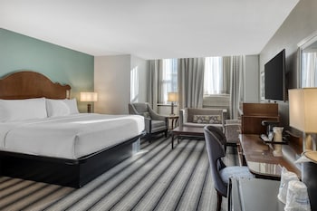 Deluxe Suite, 1 King Bed, Non Smoking, Refrigerator (with Sofabed)