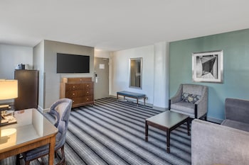 Premium Suite, 1 King Bed, Non Smoking, Refrigerator (with Sofabed)