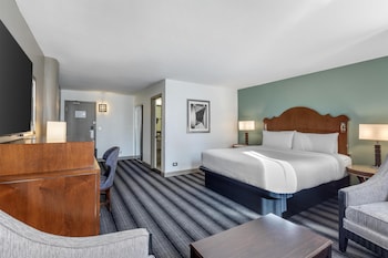 Deluxe Suite, 1 King Bed, Non Smoking, Refrigerator (with Sofabed)