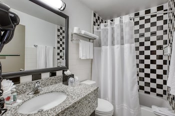 Deluxe Suite, 1 King Bed, Non Smoking, Refrigerator (with Sofabed)