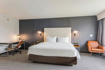 Suite, 1 King Bed with Sofa bed
