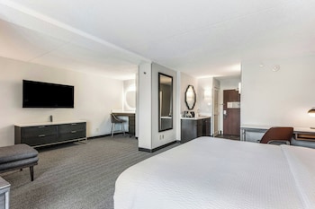 Suite, 1 King Bed with Sofa bed