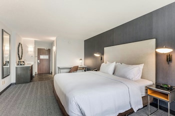 Suite, 1 King Bed with Sofa bed