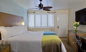 Room, 1 King Bed
