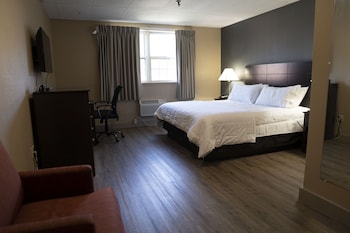 Comfort Single Room, Non Smoking