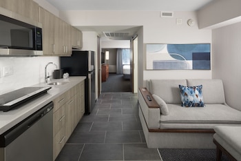 Suite, 1 King Bed with Sofa bed