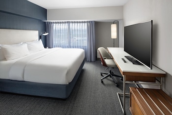 Suite, 1 King Bed with Sofa bed