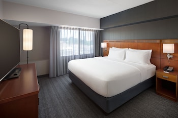 Suite, 1 King Bed with Sofa bed