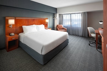 Room, 1 King Bed with Sofa bed, Hearing Accessible