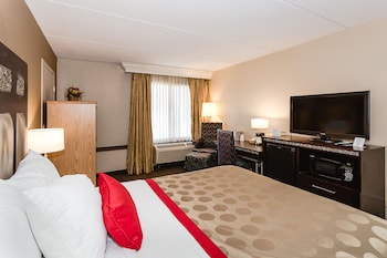 1 Queen Bed, Mobility Accessible Room, Roll-In Shower, Non-Smoking