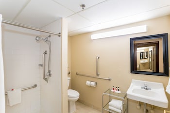 1 Queen Bed, Mobility Accessible Room, Roll-In Shower, Non-Smoking