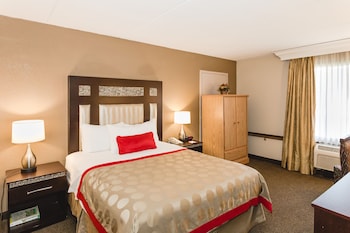 1 Queen Bed, Mobility Accessible Room, Roll-In Shower, Non-Smoking