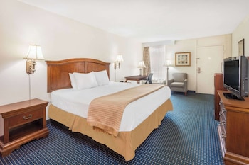 Room, 1 King Bed, Smoking