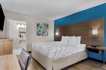 Standard Room, 1 King Bed, Accessible, Refrigerator & Microwave