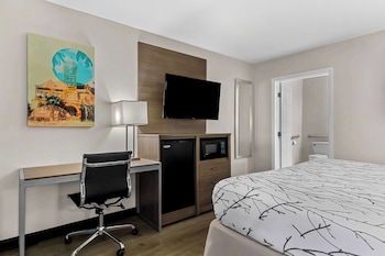 Standard Room, 1 King Bed, Accessible, Refrigerator & Microwave