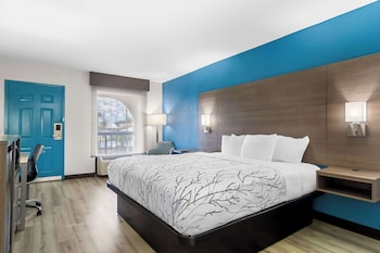 Standard Room, 1 King Bed, Non Smoking, Refrigerator & Microwave (Shower Only)