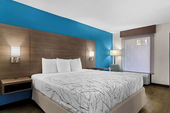 Standard Room, 1 King Bed, Accessible, Refrigerator & Microwave