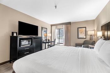 Standard Room, 1 King Bed, Non Smoking