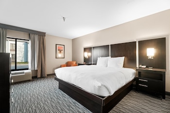 Standard Room, 1 King Bed, Non Smoking