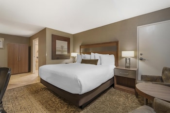 Standard Room, 1 King Bed, Accessible, Refrigerator & Microwave
