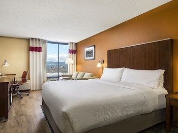 Room, 1 King Bed
