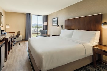 Room, 1 King Bed