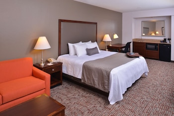 Standard Room, 1 King Bed, Non Smoking, Refrigerator & Microwave