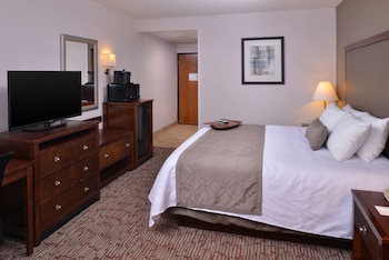 Standard Room, 1 King Bed, Non Smoking, Refrigerator