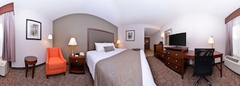 Standard Room, 1 King Bed, Non Smoking, Refrigerator & Microwave (Shower Only)
