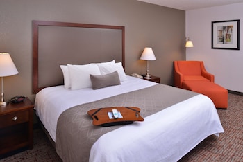 Standard Room, 1 King Bed, Non Smoking, Refrigerator