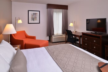 Standard Room, 1 King Bed, Non Smoking, Refrigerator & Microwave