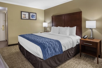 Standard Room, 1 King Bed, Non Smoking